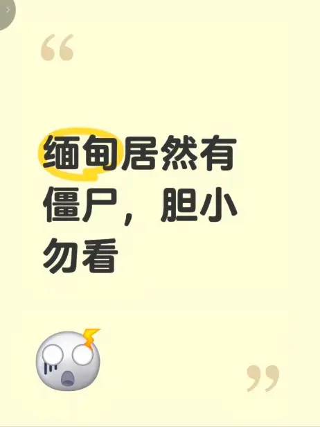 《缅甸僵尸出土事件》高清无删减完整版在线播放 - 揭秘缅北神秘事件真相全程录像