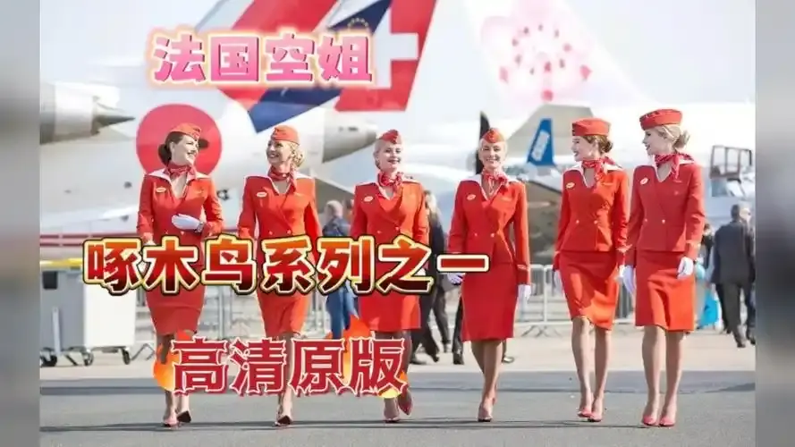 《法国空姐4》资源下载-法国空姐4免费观看完整版高清在线观看-全季无卡顿4K画质资源下载