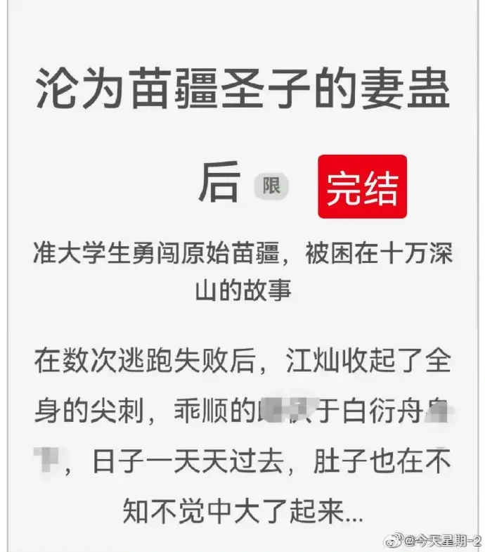 沦为苗疆圣子的妻蛊后全文免费在线阅读_完结版txt下载_狐狸雨小说资源