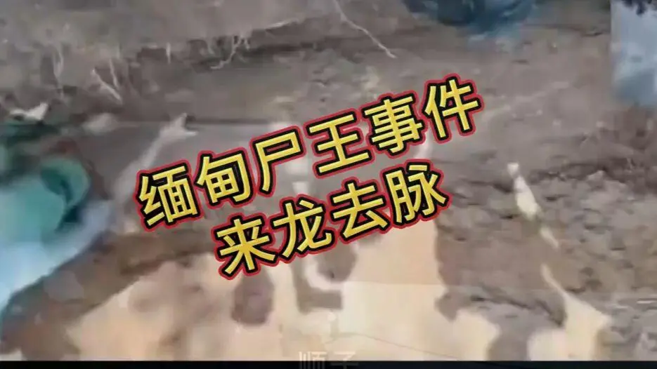 缅甸僵尸出土事件视频 - 在线观看免费播放完整版资源下载 - 诡异真相解密全程录像超清未删减